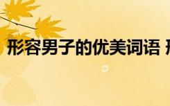 形容男子的优美词语 形容男子的词语有哪些