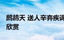 鹧鸪天 送人辛弃疾词 鹧鸪天送人辛弃疾原文欣赏