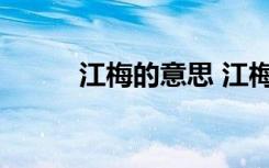江梅的意思 江梅原文翻译及赏析