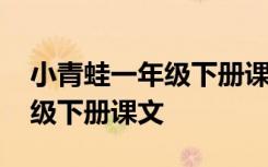 小青蛙一年级下册课文教学视频 小青蛙一年级下册课文