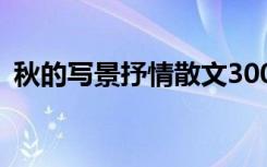 秋的写景抒情散文300字 秋的写景抒情散文