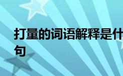 打量的词语解释是什么 打量的词语解释及造句