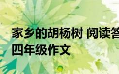 家乡的胡杨树 阅读答案二年级 家乡的胡杨树四年级作文