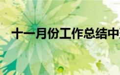 十一月份工作总结中班 十一月份工作总结