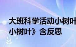 大班科学活动小树叶 幼儿园大班科学教案《小树叶》含反思