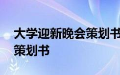大学迎新晚会策划书范文精选 大学迎新晚会策划书