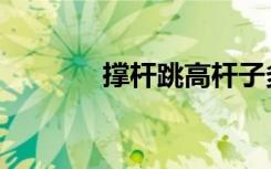 撑杆跳高杆子多长（撑杆跳）