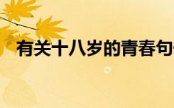 有关十八岁的青春句子 十八岁青春的说说
