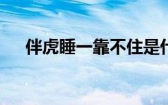 伴虎睡一靠不住是什么生肖（伴虎mv）