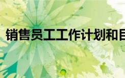 销售员工工作计划和目标 销售员工工作计划