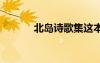 北岛诗歌集这本书 北岛诗歌集