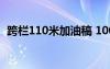 跨栏110米加油稿 100m跨栏运动员加油稿