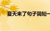 夏天来了句子简短一年级 夏天来了句子