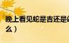 晚上看见蛇是吉还是凶（晚上看见蛇预示着什么）