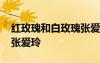 红玫瑰和白玫瑰张爱玲小说 红玫瑰和白玫瑰张爱玲