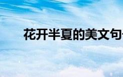 花开半夏的美文句子 花开半夏的美文