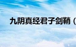 九阴真经君子剑鞘（九阴真经青竹剑鞘）