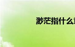 渺茫指什么意思（渺茫）