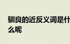 驯良的近反义词是什么呢 驯良的近义词是什么呢
