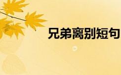 兄弟离别短句 兄弟离别的话