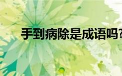手到病除是成语吗? 手到病除成语解释