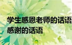 学生感恩老师的话语 暖心一段话 家长对老师感谢的话语