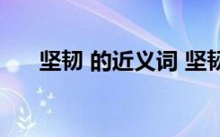 坚韧 的近义词 坚韧的反义词和近义词