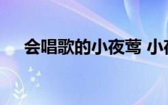 会唱歌的小夜莺 小夜莺学唱歌寓言故事