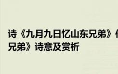 诗《九月九日忆山东兄弟》作者王维 王维《九月九日忆山东兄弟》诗意及赏析