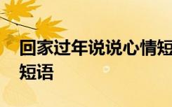 回家过年说说心情短语 回家过年的句子心情短语