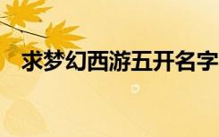 求梦幻西游五开名字（梦幻5开名字大全）
