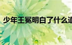 少年王冕明白了什么道理 少年王冕的读后感