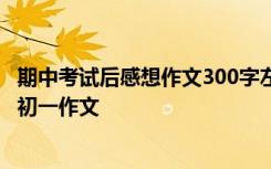 期中考试后感想作文300字左右 期中考试后感想作文600字_初一作文