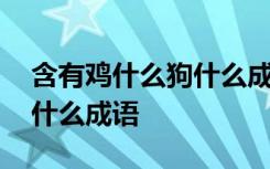 含有鸡什么狗什么成语有哪些 含有鸡什么狗什么成语