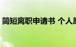 简短离职申请书 个人原因 简短的离职申请书
