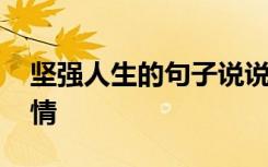 坚强人生的句子说说心情 人生的句子说说心情