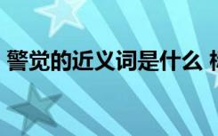 警觉的近义词是什么 标准答案 警觉的近义词