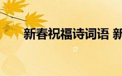 新春祝福诗词语 新春祝福的优美诗词