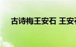 古诗梅王安石 王安石《梅》原文及赏析