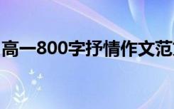 高一800字抒情作文范文 高一800字抒情作文