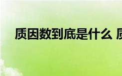 质因数到底是什么 质因数的概念是什么?