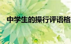 中学生的操行评语格式 中学生的操行评语