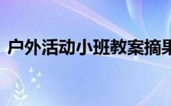 户外活动小班教案摘果子 户外活动小班教案