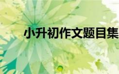 小升初作文题目集锦 小升初作文题目