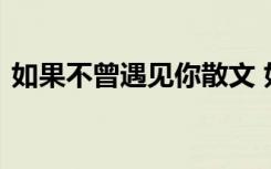 如果不曾遇见你散文 如果不曾遇见现代诗歌