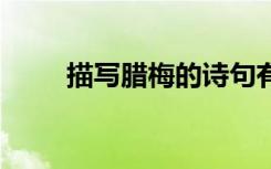 描写腊梅的诗句有 描写腊梅的诗句