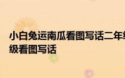 小白兔运南瓜看图写话二年级100字以上 小白兔运南瓜二年级看图写话
