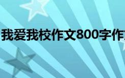 我爱我校作文800字作文 我爱我校作文800字