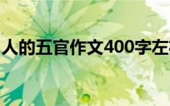 人的五官作文400字左右 人的五官作文600字