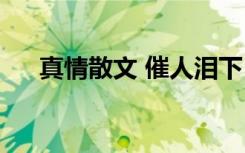 真情散文 催人泪下 出版 真情人生散文